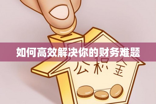 历城如何高效解决你的财务难题
