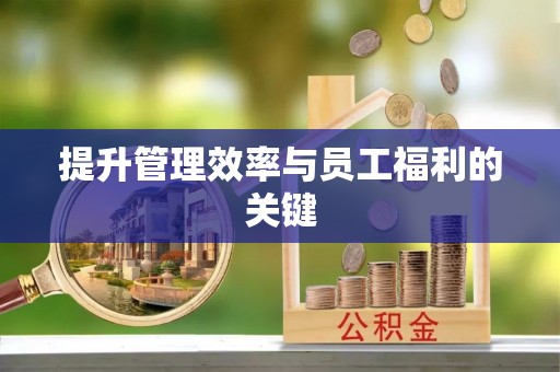 历城提升管理效率与员工福利的关键
