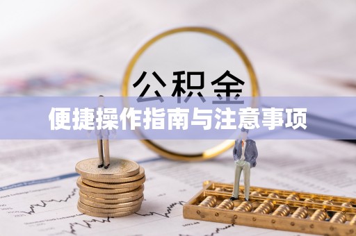 历城便捷操作指南与注意事项